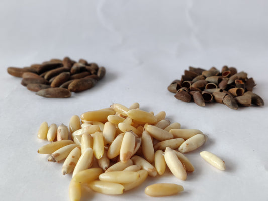 Chilgoza: 10 Amazing Health Reasons On Why You Should Snack On These Pine nuts