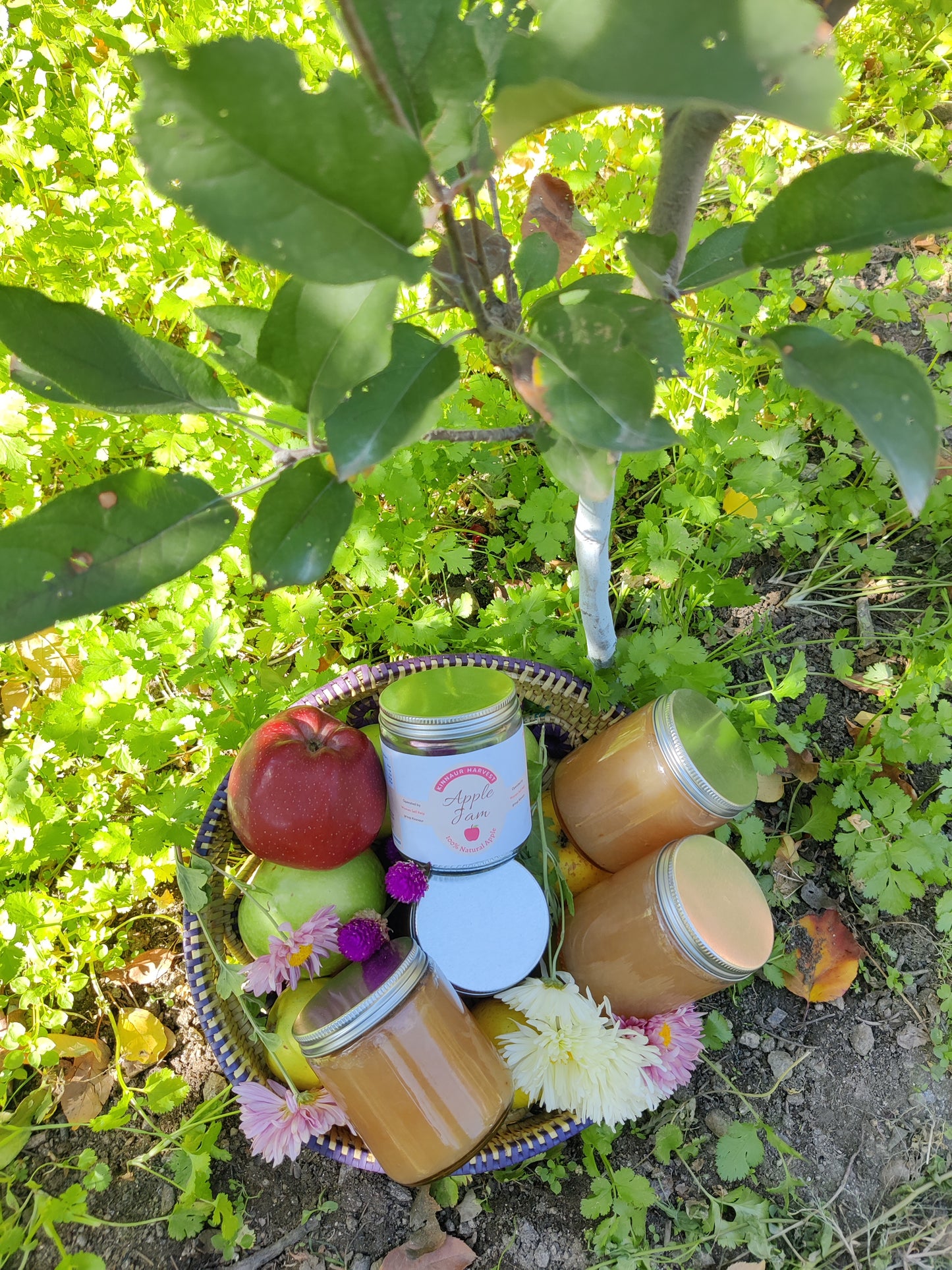 Kinnaur Apple Chutney with Goodness of Dry Fruits