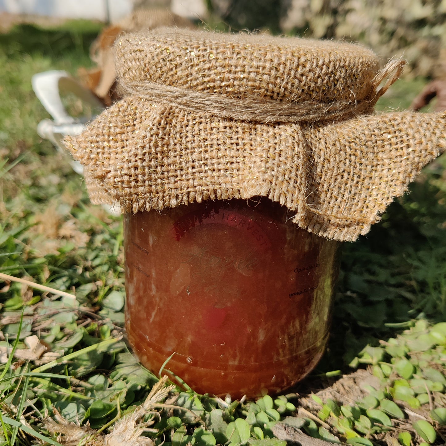 Kinnaur Apple Jam [ Red and Green Mix ]