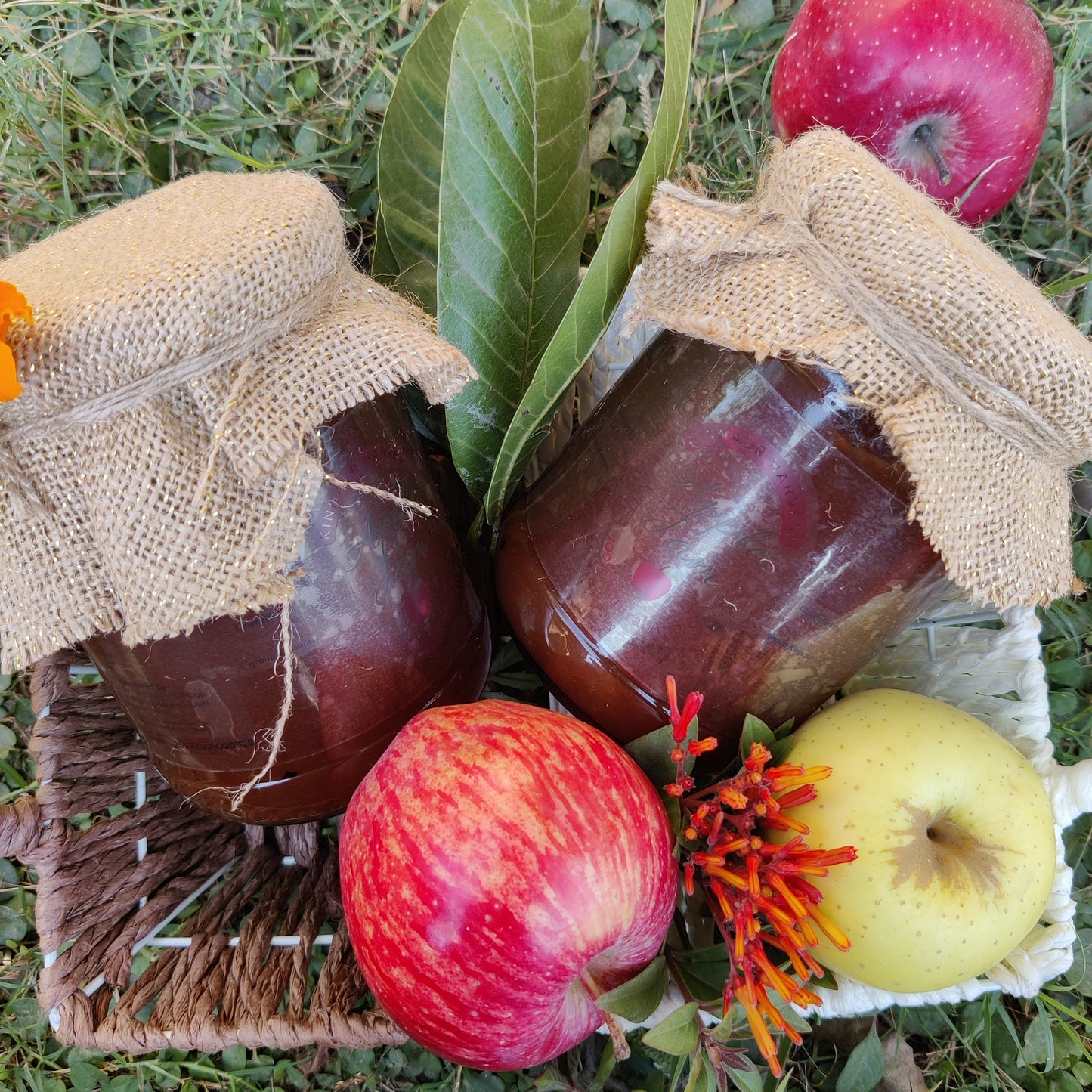 Kinnaur Apple Jam [ Red and Green Mix ]